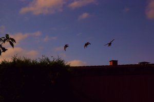 DSC01433.jpg DSC01433.jpg