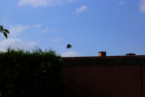 DSC01438.jpg DSC01438.jpg