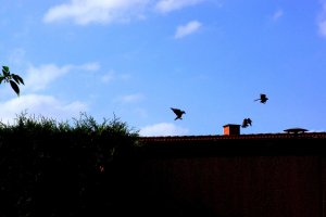 DSC01440.jpg DSC01440.jpg