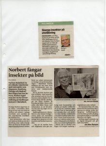 img001.jpg img001.jpg