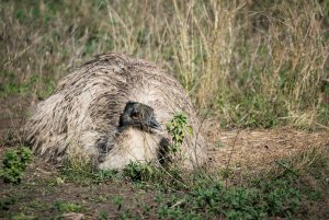 1600 oR7R202197-Bearbeitet.jpg 1600 oR7R202197-Bearbeitet.jpg