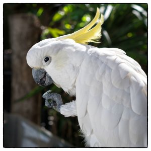 1600 oRA6507365-Bearbeitet-Bearbeitet.jpg