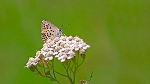 Mini_Stack_P1264751_filtered.jpg Mini_Stack_P1264751_filtered.jpg