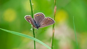 Mini_Stack_P1243180_filtered.jpg Mini_Stack_P1243180_filtered.jpg