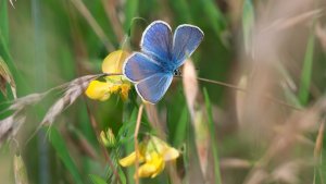 Mini_Stack_P1264648.jpg Mini_Stack_P1264648.jpg