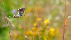 Mini_Stack_P1460291_filtered.jpg Mini_Stack_P1460291_filtered.jpg