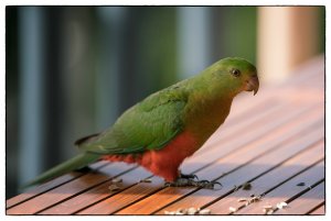 1600 oR7R202345-Bearbeitet.jpg