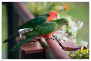 1600 oR7R202355-Bearbeitet-Bearbeitet-Bearbeitet.jpg