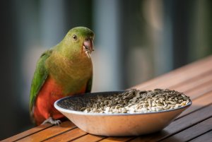 1600 oR7R202335-Bearbeitet-Bearbeitet.jpg