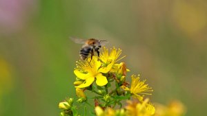 Mini_P1219289.jpg Mini_P1219289.jpg