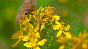 Mini_P1219387.jpg Mini_P1219387.jpg