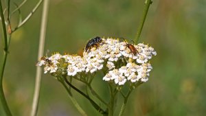 Mini_P1220102.jpg Mini_P1220102.jpg