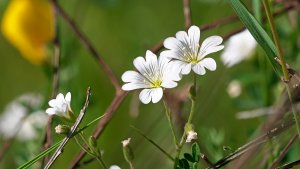 Mini_Stack_P1196843.jpg Mini_Stack_P1196843.jpg