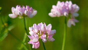 Mini_Stack_P1208497.jpg Mini_Stack_P1208497.jpg