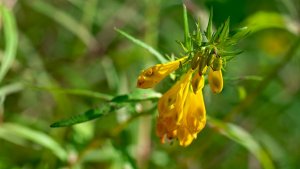 Mini_Stack_P1219079.jpg Mini_Stack_P1219079.jpg