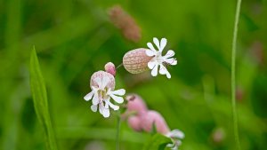 Mini_Stack_P1242962_filtered.jpg Mini_Stack_P1242962_filtered.jpg