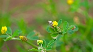 Mini_Stack_P1243017_filtered.jpg Mini_Stack_P1243017_filtered.jpg