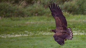 Osterfeiner Moor_IMG_2871()-20210809.jpg