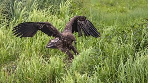 Osterfeiner Moor_IMG_2881()-20210808.jpg