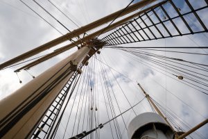 XT3D1531.jpg XT3D1531.jpg