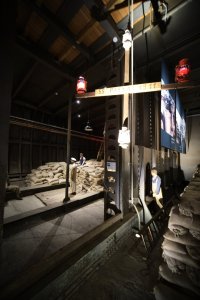 XT3D1567.jpg XT3D1567.jpg