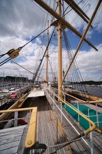 XT3D1586.jpg XT3D1586.jpg