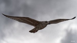 Bild 23.08.21 um 21.03.jpg