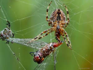 2021-09-10 18-51.jpg