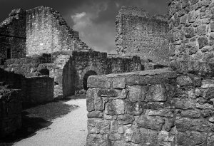 Detail stark Schärfe +1 Pentax 28_SDI3177 III klein.jpg