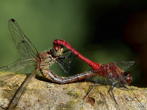 2021-10-01 18-31-20 (A,Radius8,Smoothing4).jpg