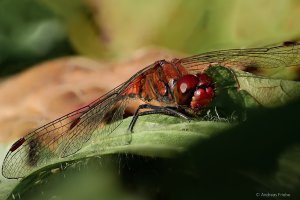 2021-10-01 18-52-38 (B,Radius8,Smoothing4).jpg