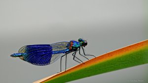 2021-10-03 13-39-40 (C,Smoothing6)-2.jpg