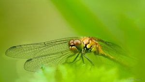 2021-10-08 18-58-50 (A,Radius8,Smoothing6).jpg