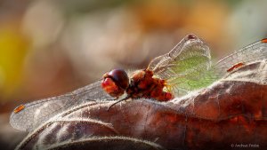 2021-10-22 21-59-53 (A,Radius8,Smoothing6).jpg