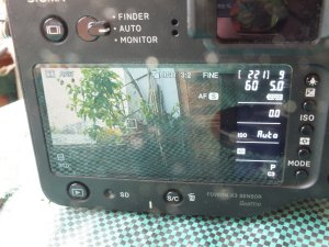 DSCF4305a.jpg DSCF4305a.jpg