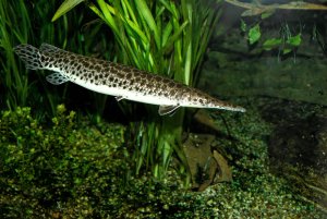 1000_300_kb_IMG_1012_DxO_raw.jpg 1000_300_kb_IMG_1012_DxO_raw.jpg