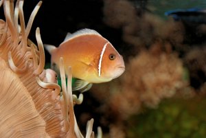 1000_300_kb_IMG_1027_DxO_raw.jpg 1000_300_kb_IMG_1027_DxO_raw.jpg