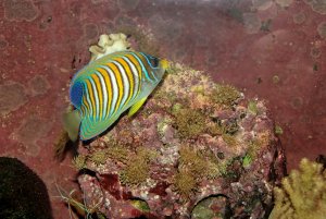 1000_300_kb_IMG_1032_DxO_raw.jpg 1000_300_kb_IMG_1032_DxO_raw.jpg