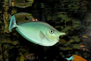 1000_300_kb_IMG_1039_DxO_raw.jpg 1000_300_kb_IMG_1039_DxO_raw.jpg