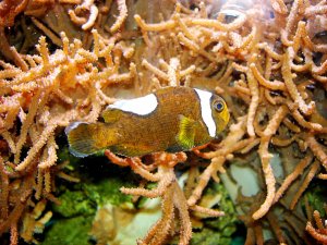 1100_400 kb_DSC00355_DxO.jpg 1100_400 kb_DSC00355_DxO.jpg