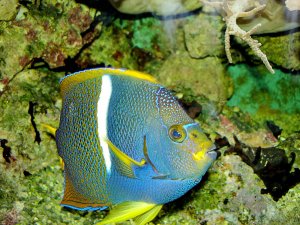 1100_400 kb_DSC00356_DxO.jpg 1100_400 kb_DSC00356_DxO.jpg