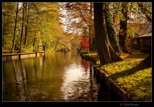 2021-10-31-_DSC5420-BE-BE FF Mogri 800.jpg