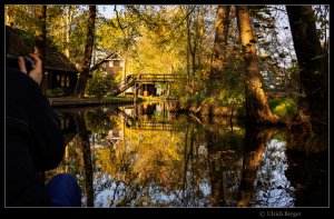 2021-10-31-_DSC5476-BE-BE FF Mogri 800.jpg