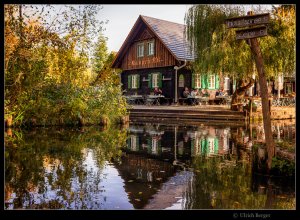 2021-10-31-_DSC5459-BE-BE FF Mogri 800.jpg