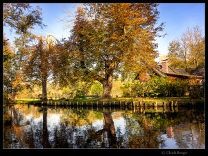 2021-10-31-_DSC5453-BE-2 FF Mogri 800.jpg