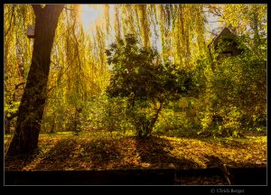 2021-10-31-_DSC5463-BE-BE FF Mogri 800.jpg