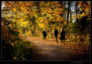 2021-10-31-_DSC5571-BE-BE FF Mogri 800.jpg