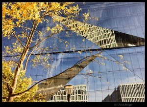 2021-10-25-_DSC5319-BE-BE-1500-noM-JPGmini FF Mogri 800.jpg