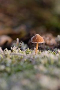 XH1F9073.jpg XH1F9073.jpg