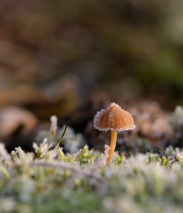 XH1F9073 1.jpg XH1F9073 1.jpg